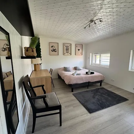 La Casa Nancy 12 Pers Parking Et Jardin Vakantiehuis *