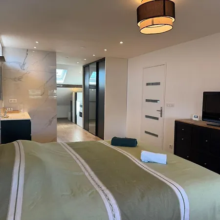 La Casa Nancy 12 Pers Parking Et Jardin Vakantiehuis
