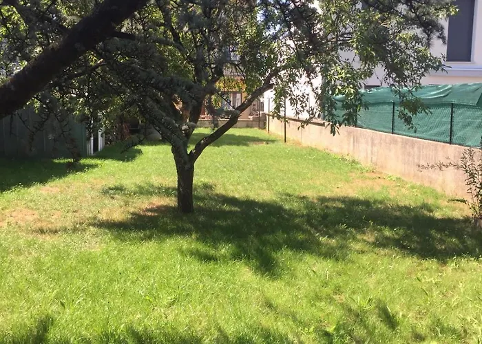 Prázdninový dům La Casa Nancy 12 Pers Parking Et Jardin