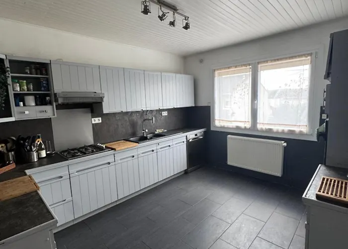 Prázdninový dům La Casa Nancy 12 Pers Parking Et Jardin