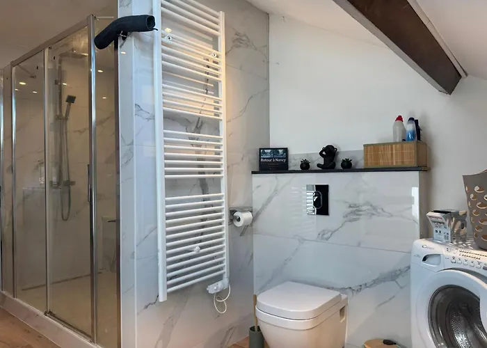 Prázdninový dům La Casa Nancy 12 Pers Parking Et Jardin Tomblaine